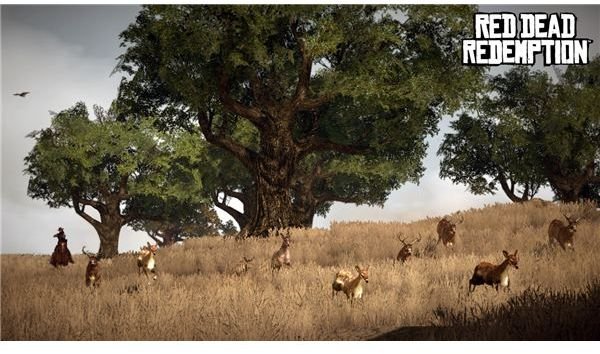 How Much Is Each Animal Worth On Redcdead Online