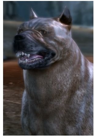 dragon age origins war dog build